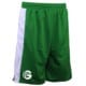 G-Ball Wende Short Pro grün/weiß