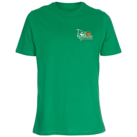 Mödling Basketdragons T-Shirt grün