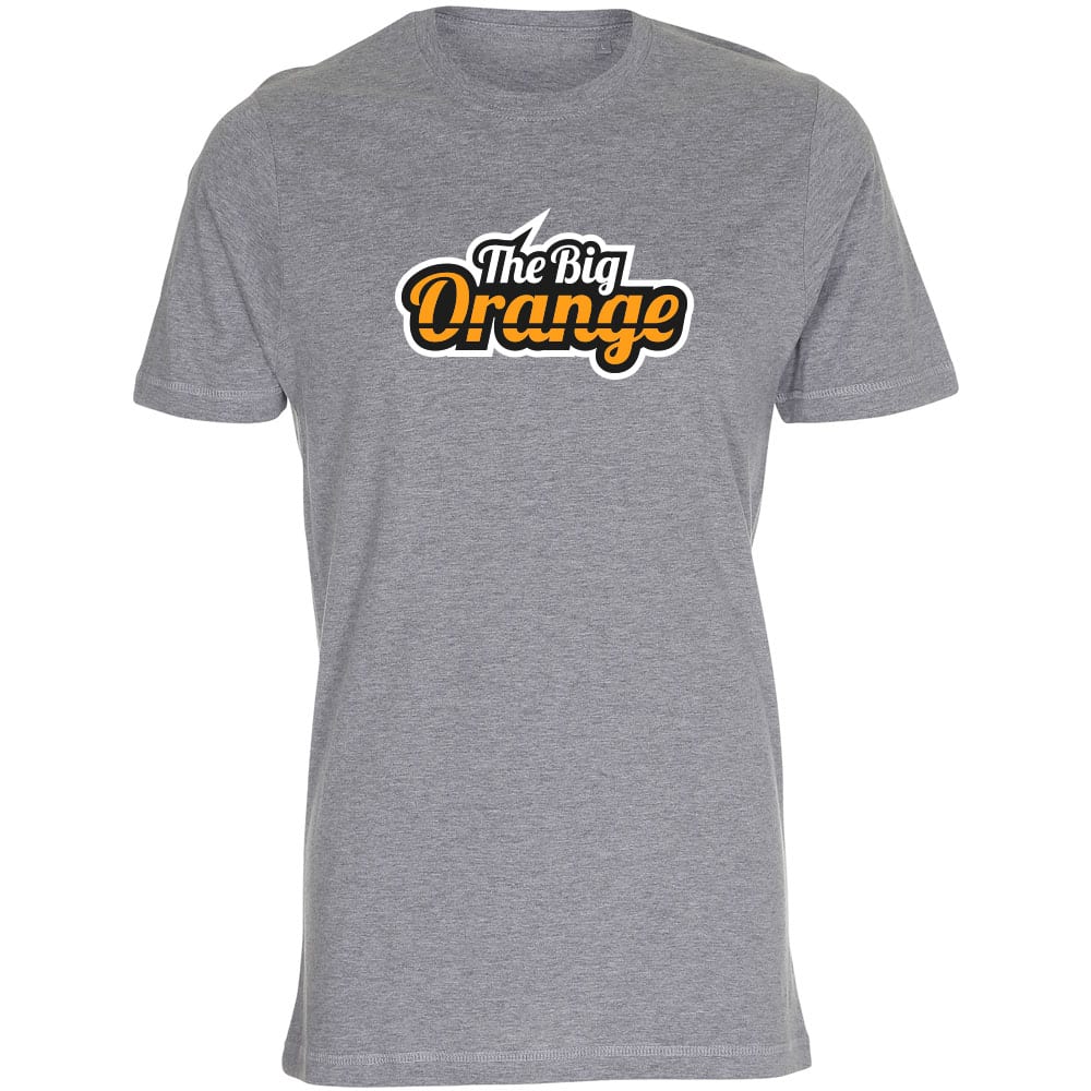 TheBigOrange T-Shirt grau