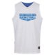 Babenhausen Basketball Basketball Reversible Jersey BASIC blau / weiß