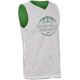 Basketball Rosenheim Reversible Jersey BASIC grün / weiß