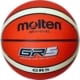 Molten BGR5-OI Basketball