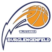Blizzards Logo
