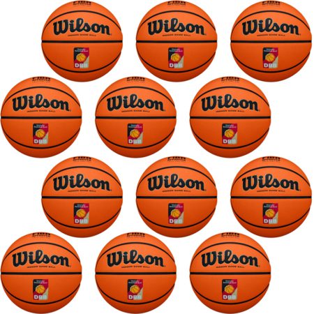 12x Wilson Evo NXT DBB-Logo Game Ball Indoor Größe 7 Herren Basketball